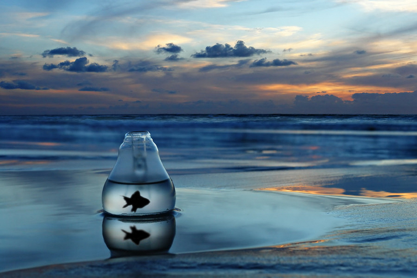 世界保龄球巡回赛城市站青少年赛事覆盖率提升报告,保龄球国际比赛